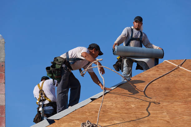 Best Gutter Installation and Roofing  in Amador Pines, CA